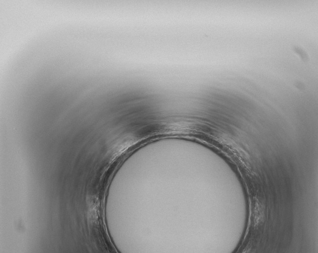 X0000115421449200912011236