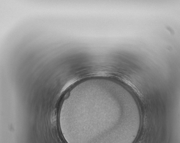 X0000115421450200912011236