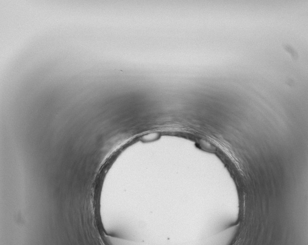 X0000115421452200912011236