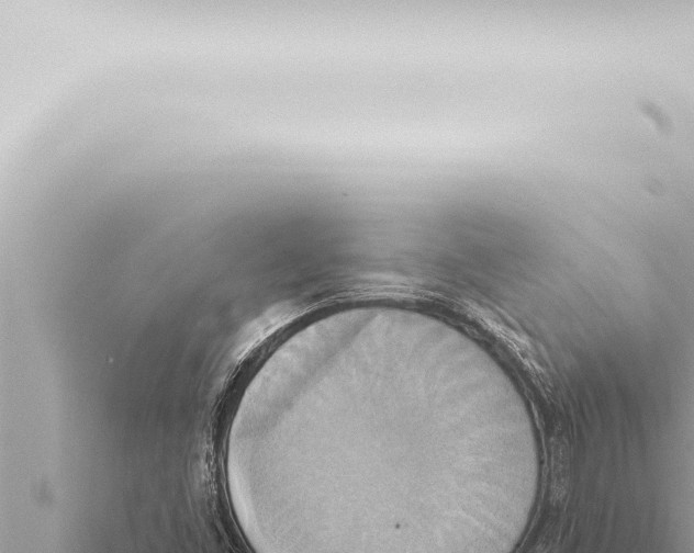 X0000115421453200912011236