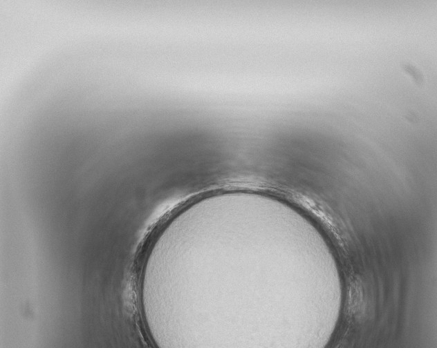 X0000115421454200912011236