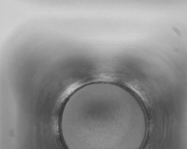 X0000115421455200912011236