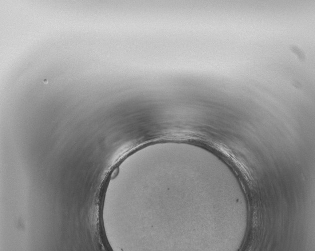 X0000115421459200912011236