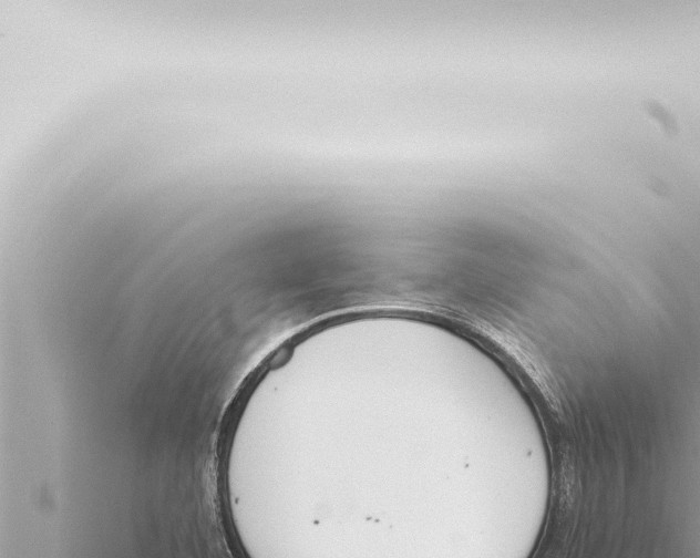 X0000115421460200912011236