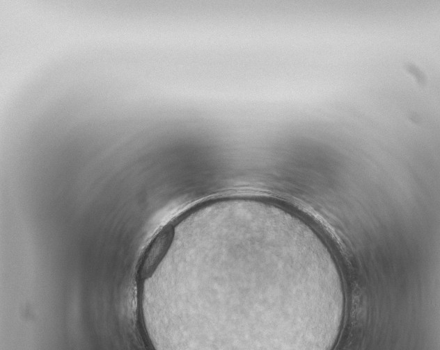 X0000115421461200912011236