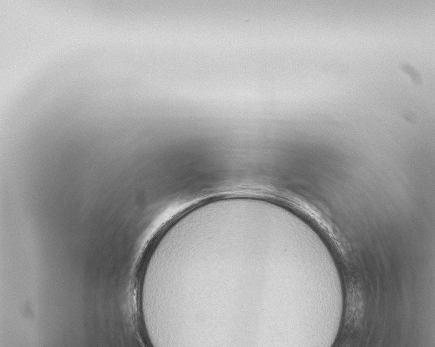 X0000115421462200912011236