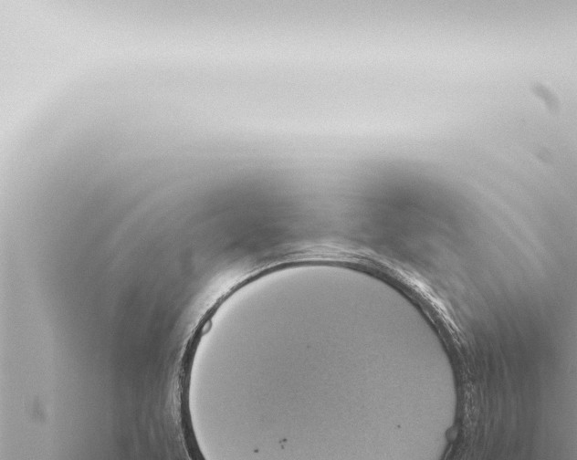 X0000115421463200912011236