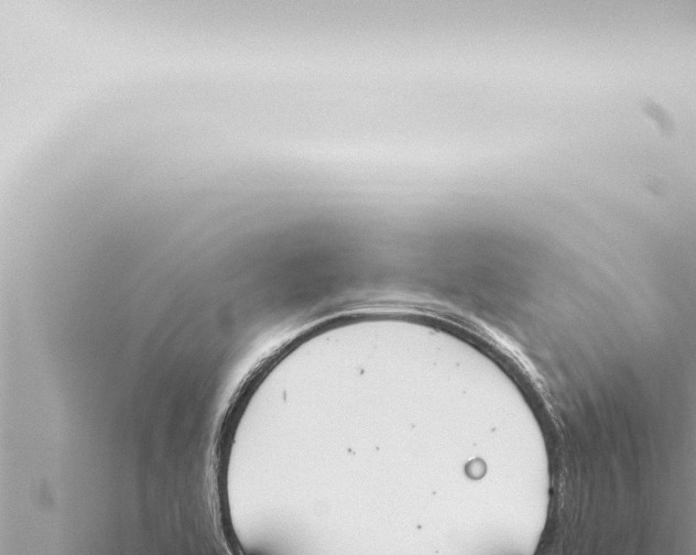 X0000115421464200912011236