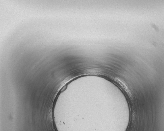 X0000115421465200912011236