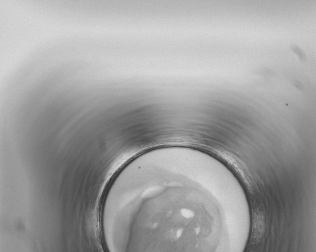 X0000115421466200912011236