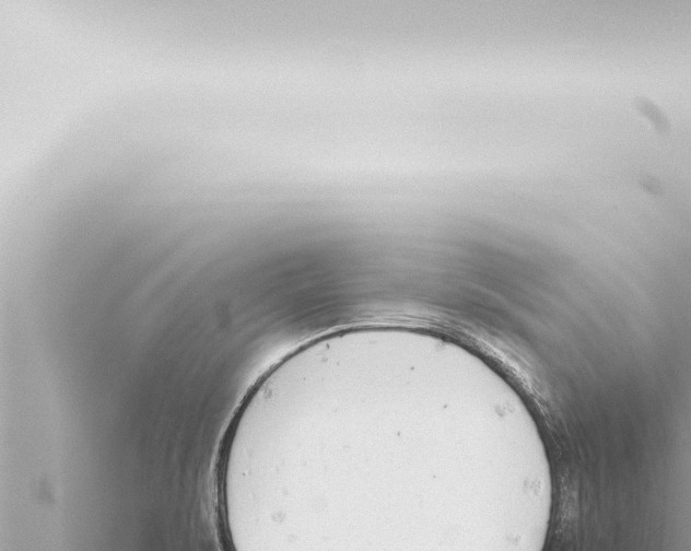 X0000115421471200912011236