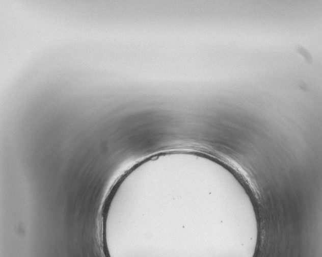 X0000115421472200912011236