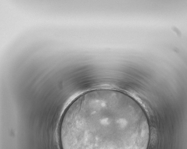 X0000115421474200912011236