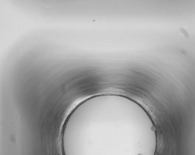 X0000115421478200912011236