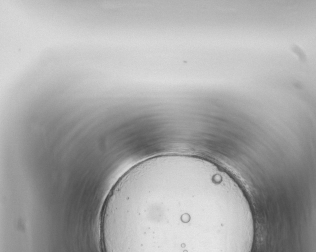 X0000115421479200912011236