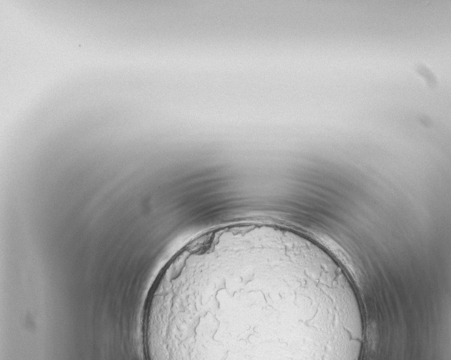 X0000115421482200912011236