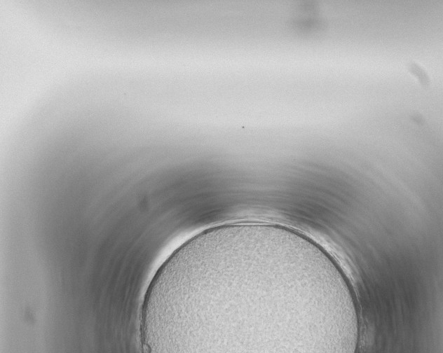 X0000115421486200912011235