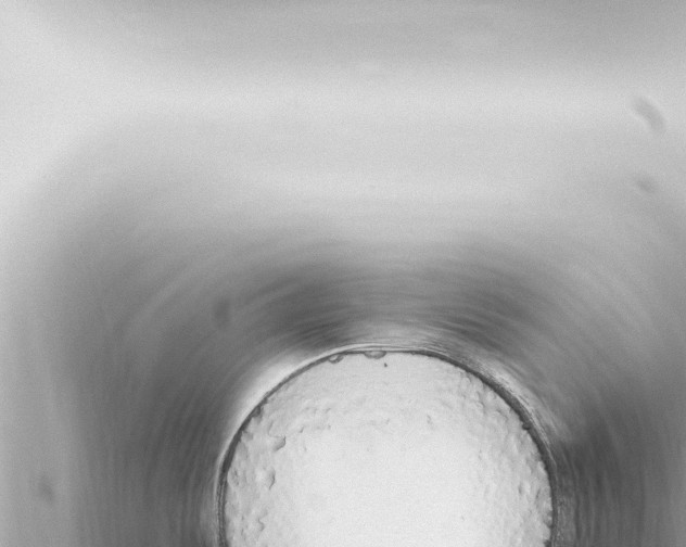 X0000115421487200912011235