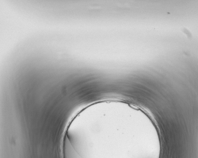 X0000115421488200912011235