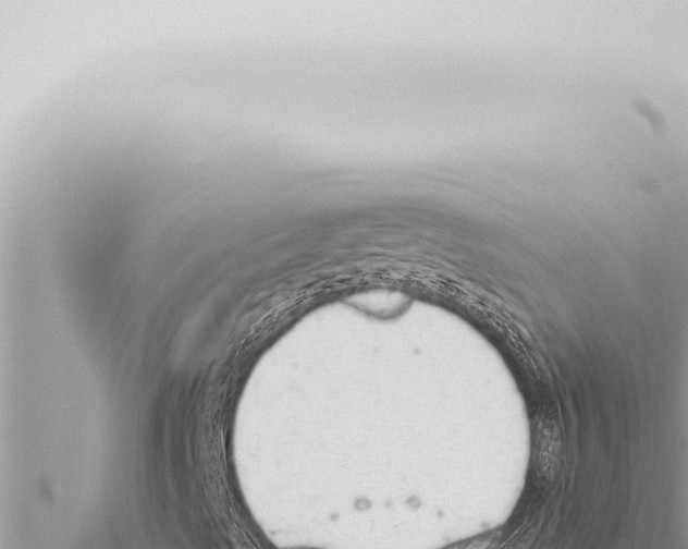 X0000115421489200912011235