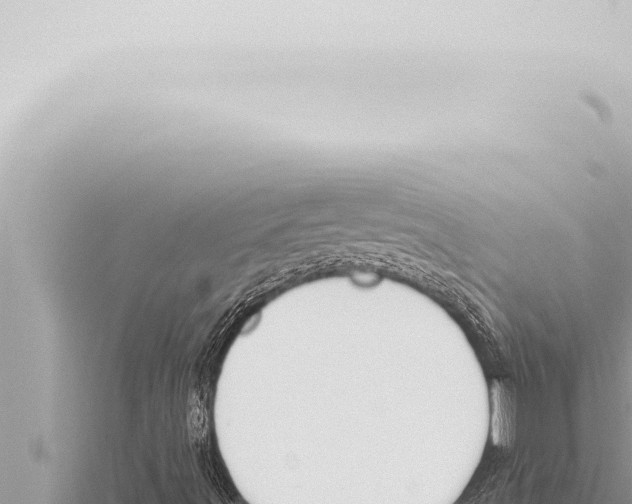 X0000115421491200912011235