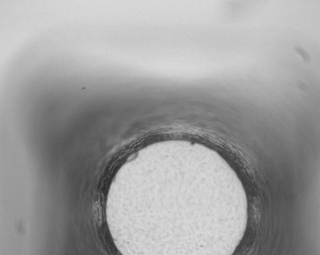 X0000115421493200912011235