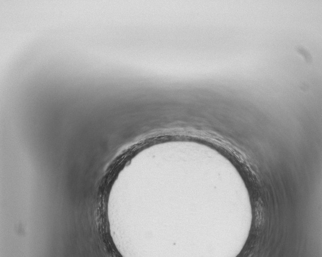 X0000115421494200912011235