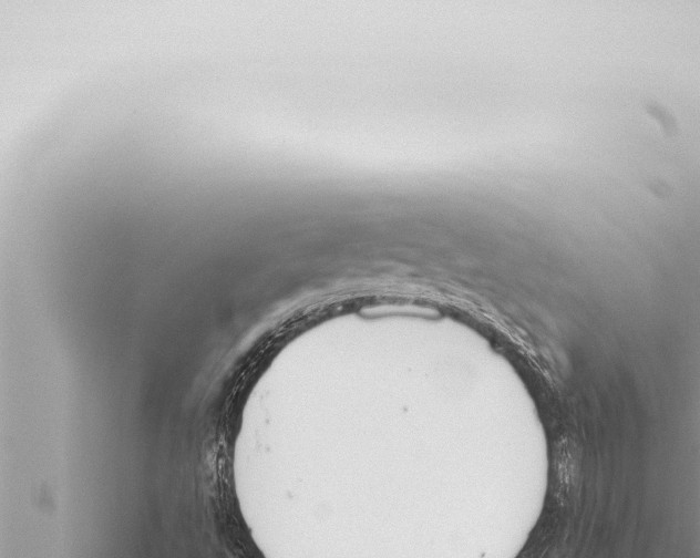 X0000115421495200912011235