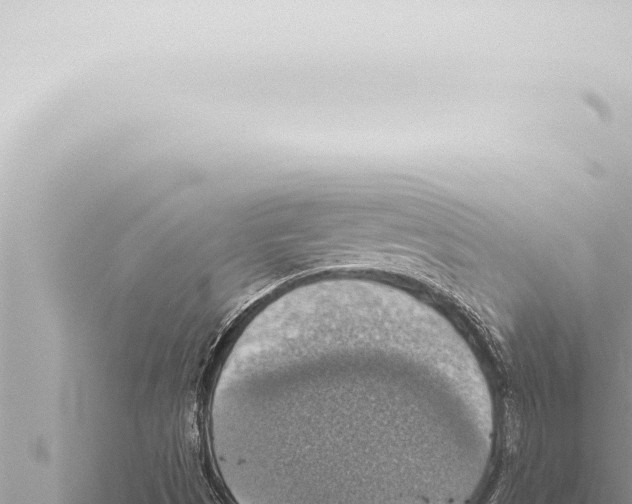 X0000115421497200912011235