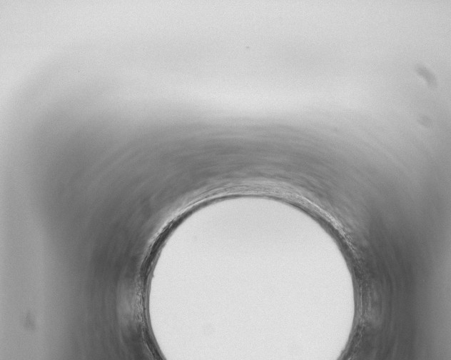 X0000115421498200912011235