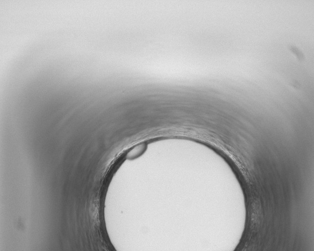 X0000115421499200912011235