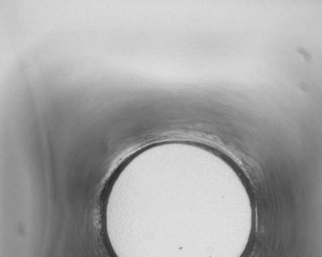 X0000115421501200912011235