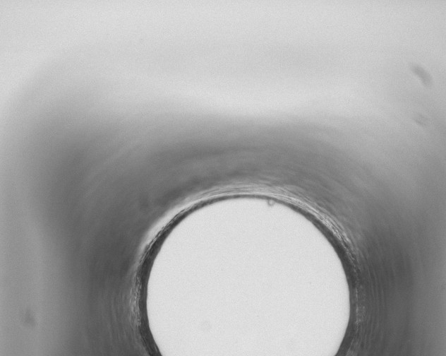 X0000115421502200912011235