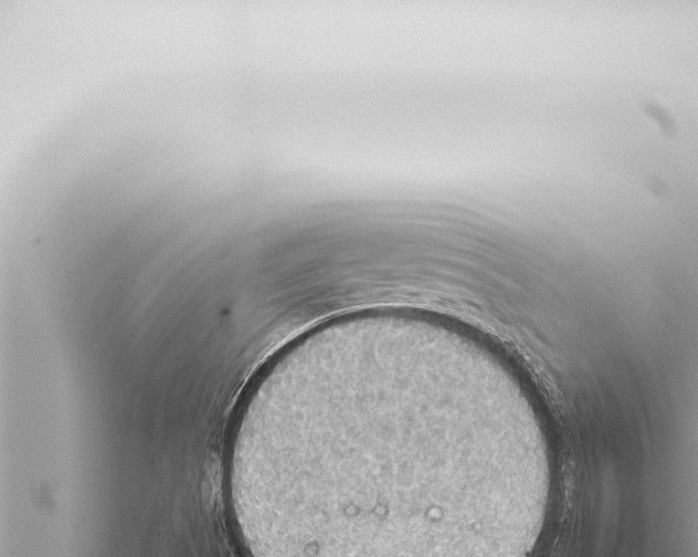 X0000115421505200912011235