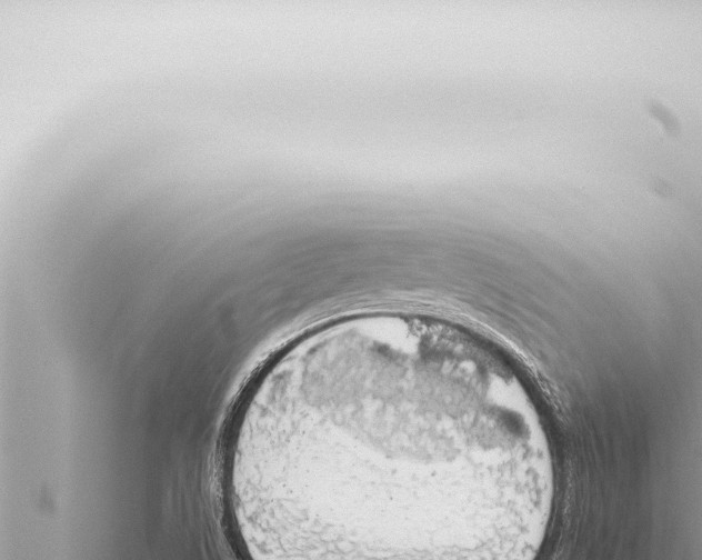 X0000115421506200912011235