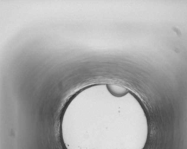 X0000115421507200912011235