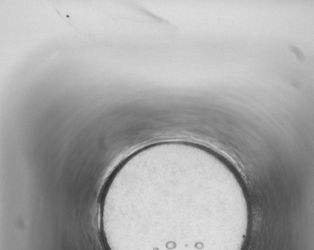 X0000115421509200912011235