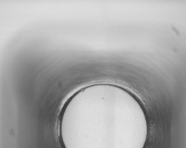 X0000115421510200912011235