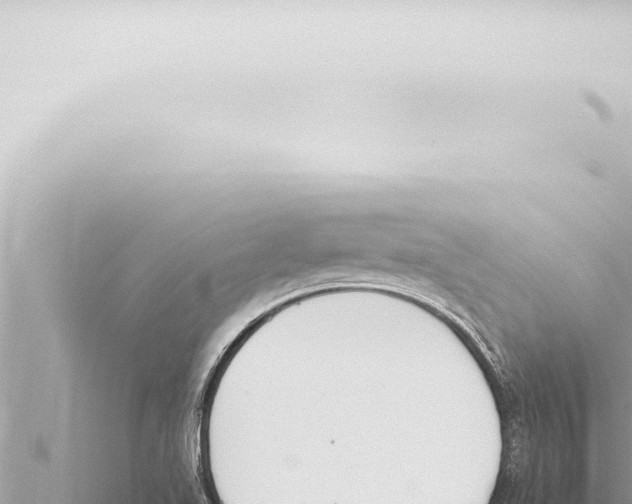 X0000115421511200912011235