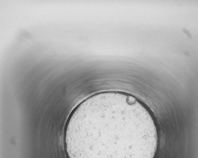 X0000115421513200912011235