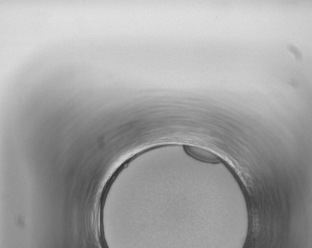 X0000115421515200912011235