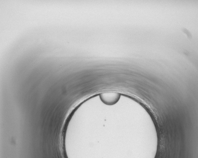 X0000115421517200912011235