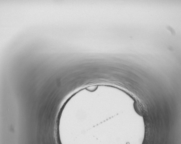 X0000115421518200912011235