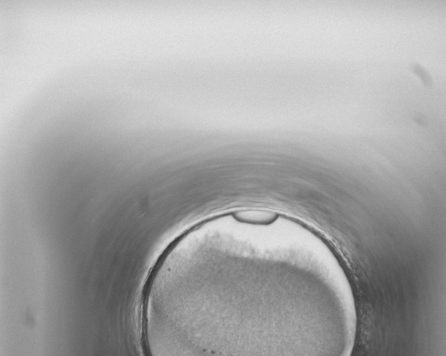 X0000115421519200912011235