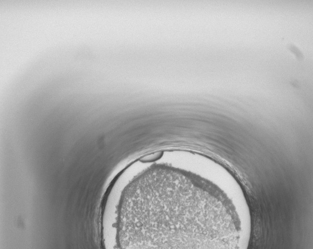 X0000115421522200912011235