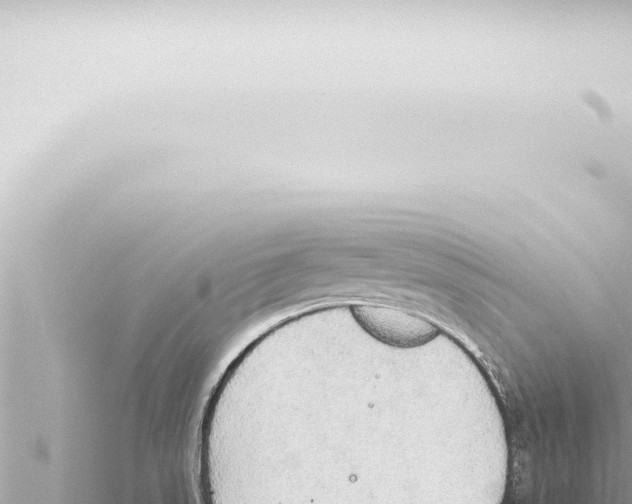 X0000115421523200912011235