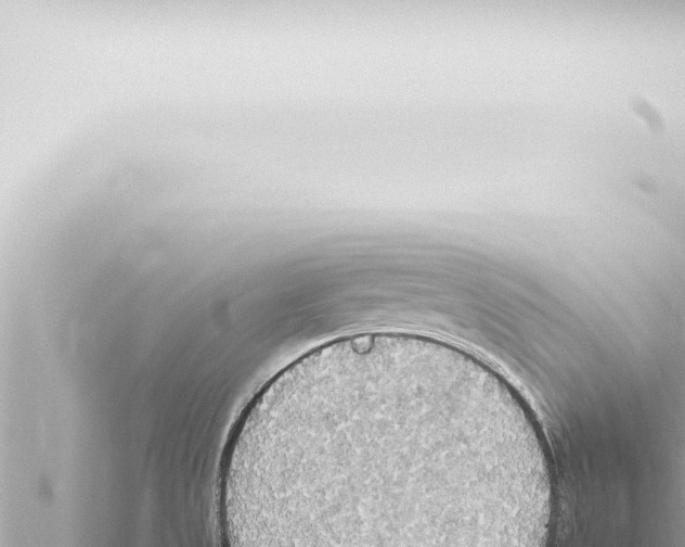 X0000115421525200912011235