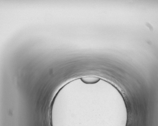 X0000115421526200912011235