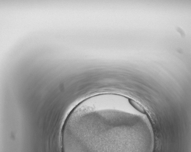 X0000115421527200912011235