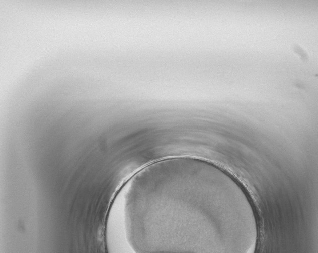 X0000115421529200912011235